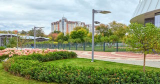 Профессиональное озеленение улиц в Новомосковске в октябре