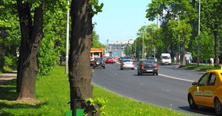 Посадка деревьев и кустарников в Новомосковске — стоимость от 1239 руб.
